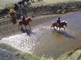 Icelandic Horse Ride & Reykjadalur Hike tour in Iceland