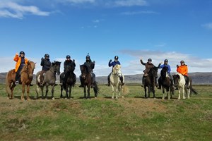 Icelandic Horse Heritage Ride tour in Iceland