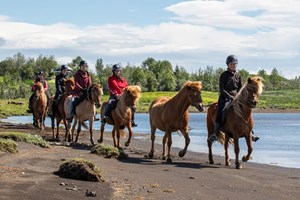 Soft River Banks – Ride for Experienced Riders tour in Iceland