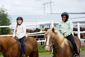 Countryside Charm – One-Hour Icelandic Horse Ride tour in Iceland