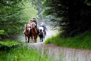 Icelandic Horses & Hveragerði Hot Springs Ride tour in Iceland