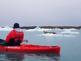 Jökulsárlón Glacier Lagoon Kayaking tour in Iceland