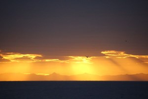 Midnight Sun Whale Watching from Reykjavík tour in Iceland