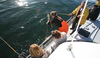 Whale Watching & Sea Angling from Reykjavík tour in Iceland