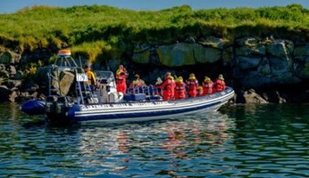 Húsavík Original Whale Watching tour in Iceland
