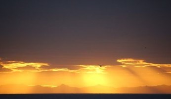 Horse Riding & Whale Watching from Reykjavík tour in Iceland