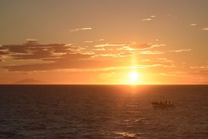 Reykjavík Premium Whales & Midnight Sun tour in Iceland