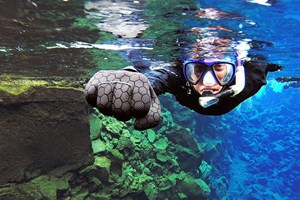 Self Drive Drysuit Snorkeling in Silfra tour in Iceland