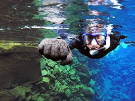 Private Silfra Snorkeling – Meet on Location tour in Iceland