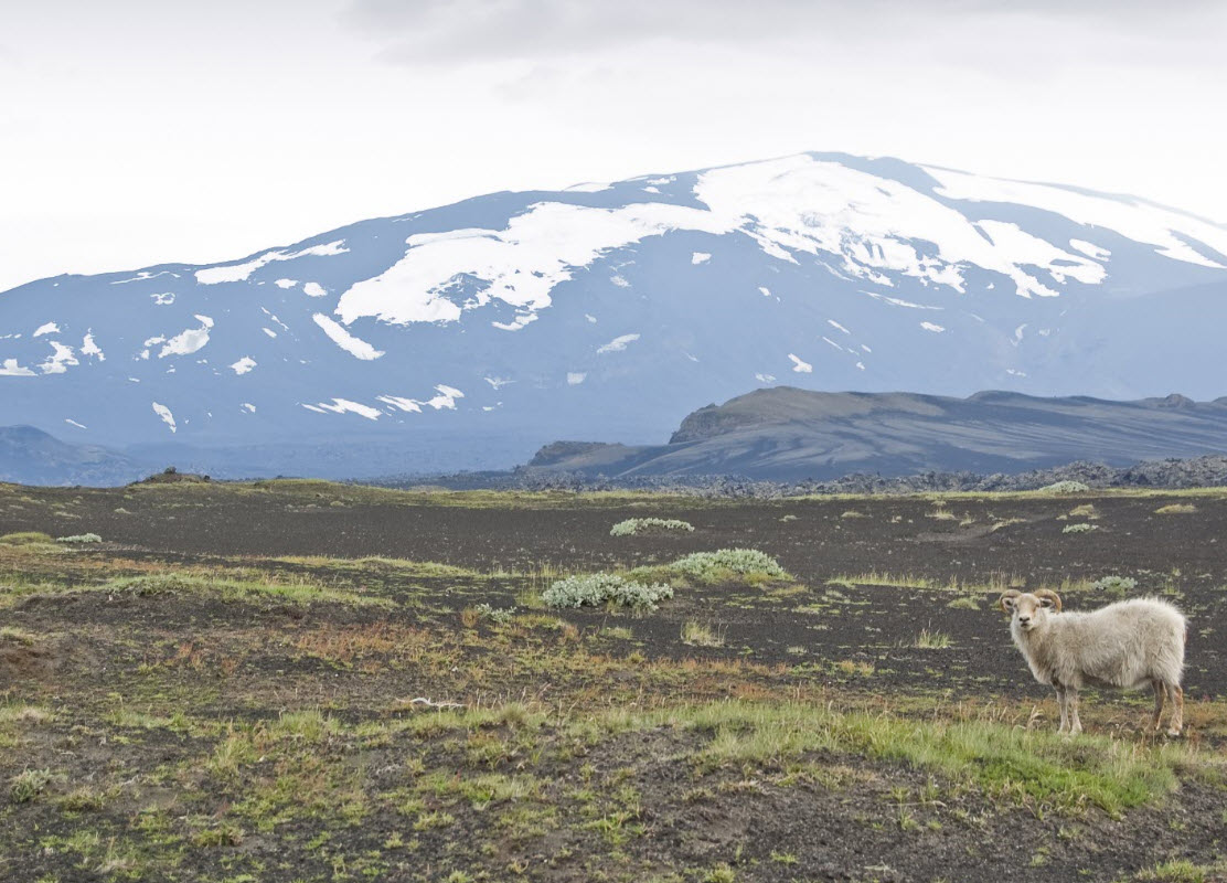 Hekla volcanic landscape