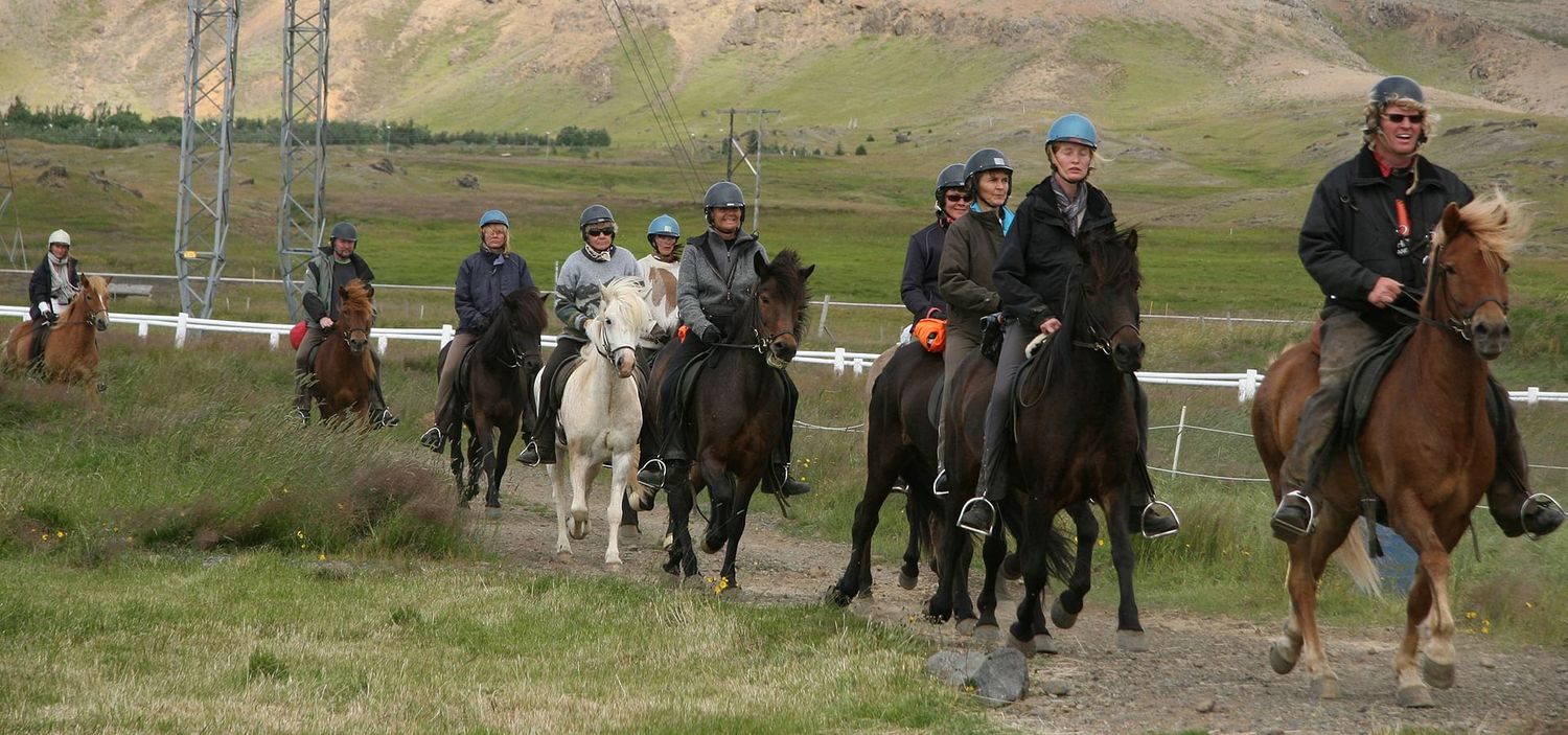 Horse Riding and Golden Circle