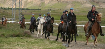 Horse Riding and Golden Circle tour in Iceland