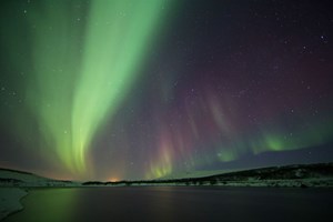 Small-Group Northern Lights Tour with Cocoa & Pastries tour in Iceland