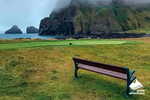 Westman Islands Day Tour from Reykjavík tour in Iceland