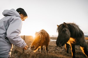 Golden Circle, Tomato Farm and Sky Lagoon tour in Iceland