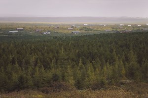 Private Golden Circle tour tour in Iceland
