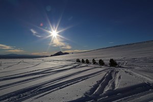 Golden Circle & Langjökull Super Jeep Tour tour in Iceland