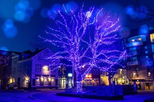 Icelandic New Year's Eve Walk tour in Iceland
