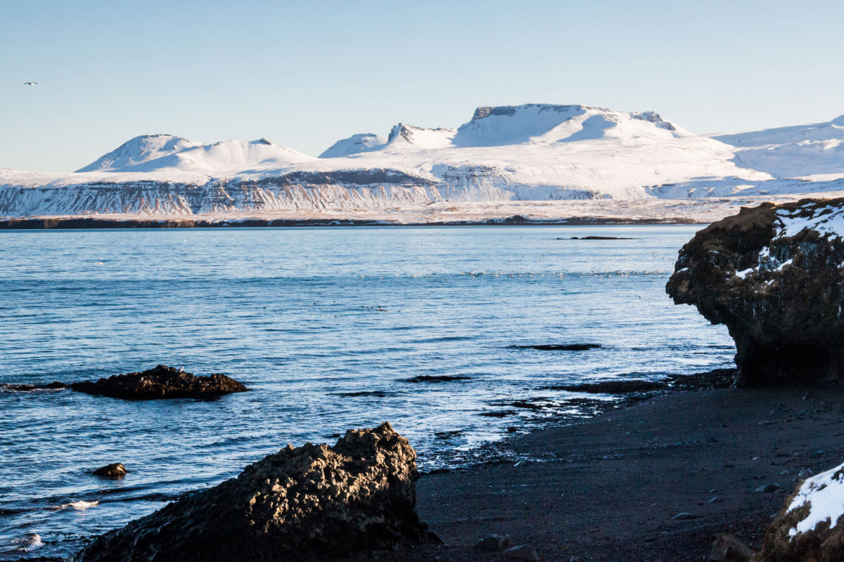 Black sand beach close to Olafsvik during winter in Iceland