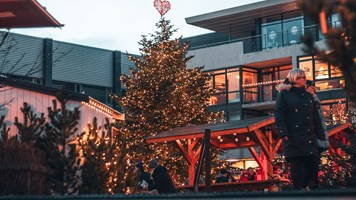 Icelandic Christmas Advent Driving Tour tour in Iceland