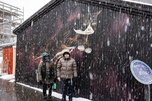Private Reykjavik CatWalk tour in Iceland