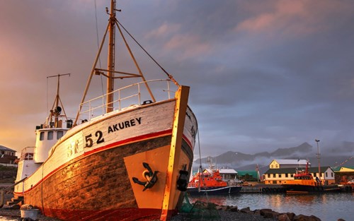 Fishing boat in Höfn harbour