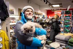 Reykjavík Catpaseo — excursión en Islandia