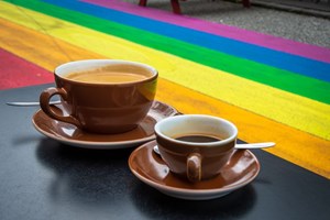 Private Reykjavik LGBTQ+ City Walk tour in Iceland
