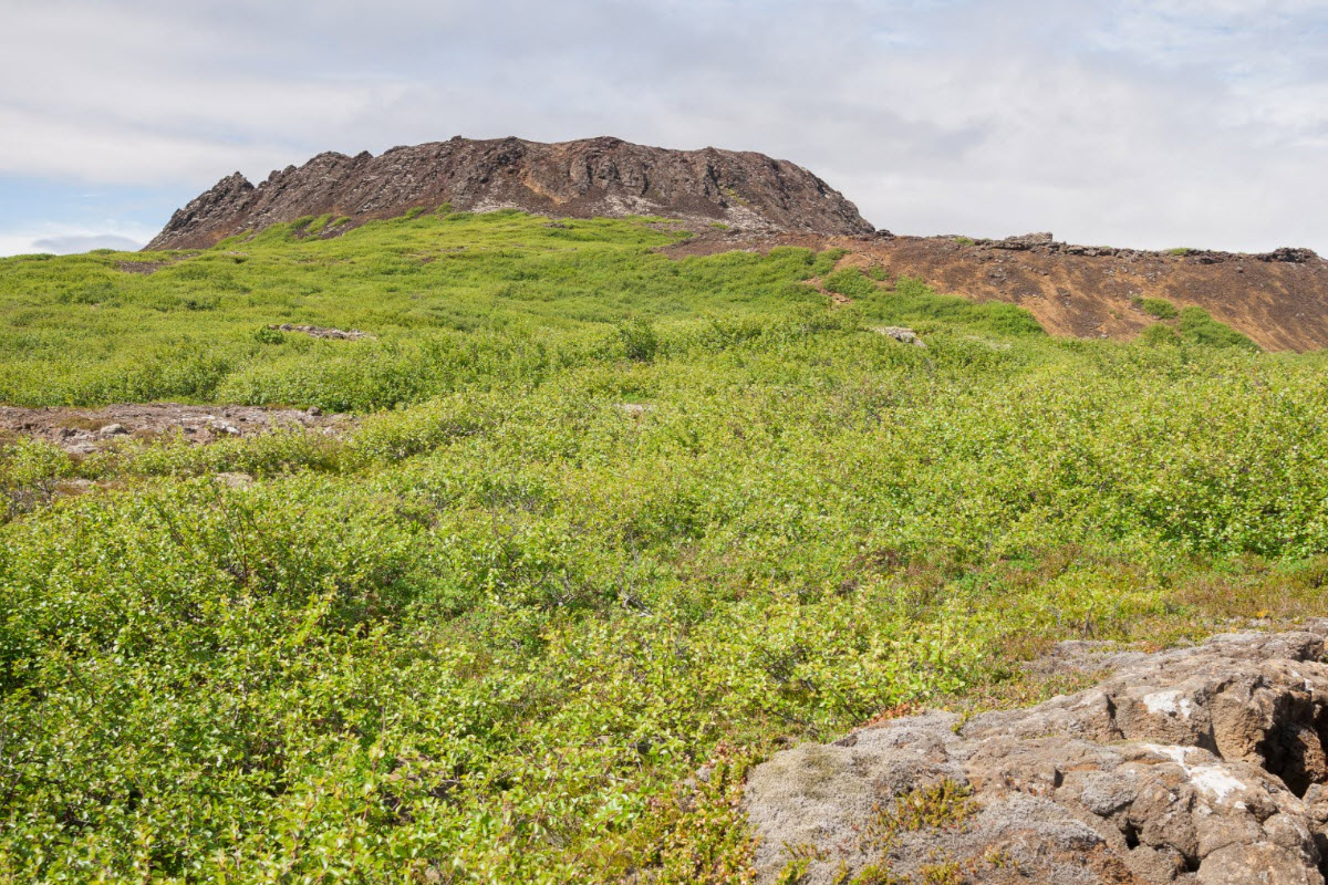 Eldborg crater is located in West Iceland