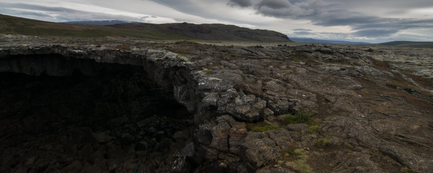 Víðgelmir