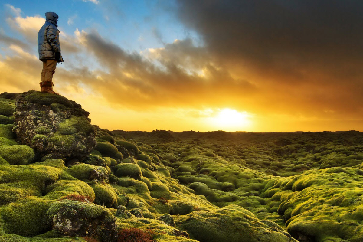 Eldhraun Lava Field