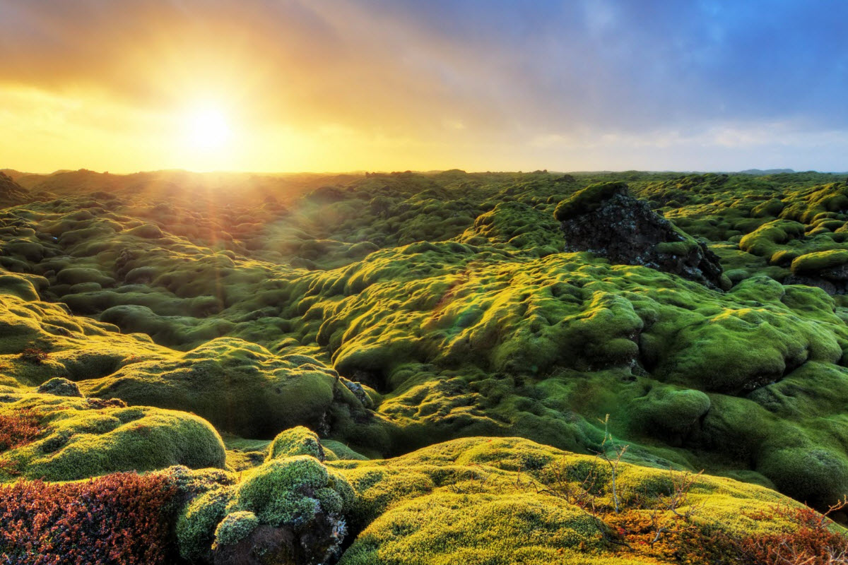 Sunset by Eldhraun lava field close to the town Kirkjubæjarklaustur in South Iceland