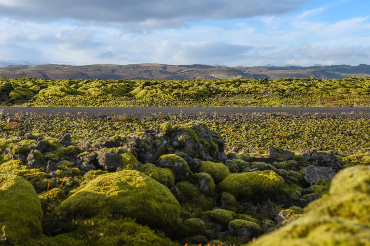 The road lies through Eldhraun lava field