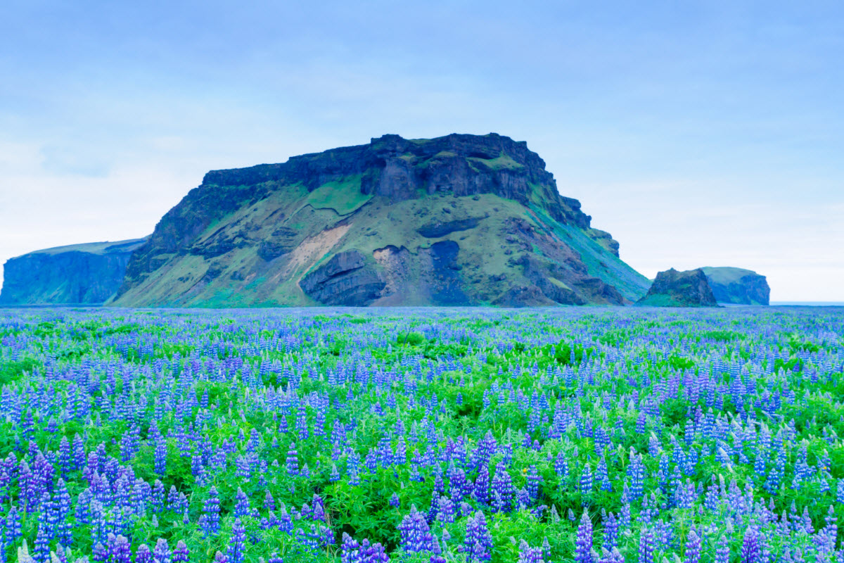 Hjörleifshöfði Cape