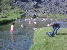 Private Landmannalaugar 4x4 Tour tour in Iceland