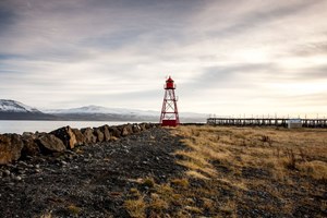 Private Arctic Coastline & Whale Watching Tour tour in Iceland