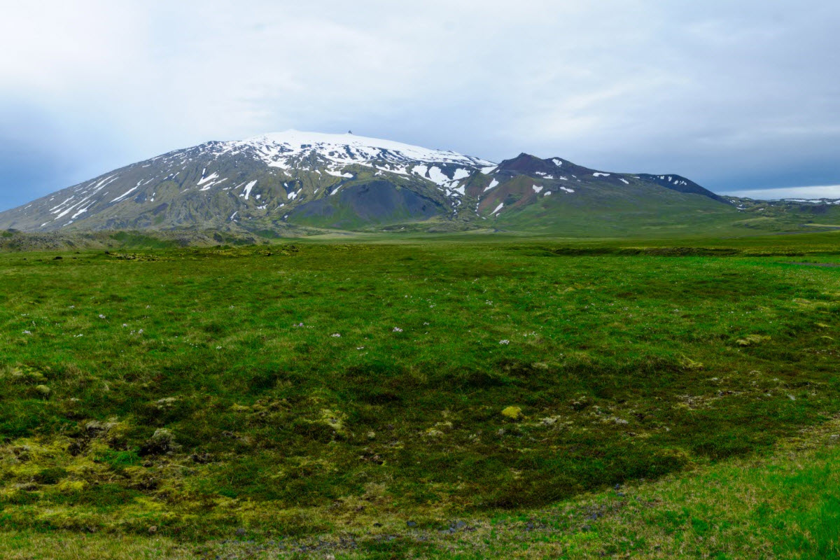 The landscape in Snæfellsjokull National Park with Snæfellsjokull Glacier in the background 