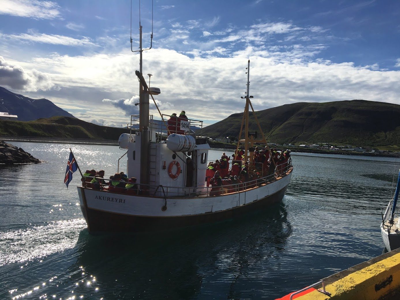 Whale watching tour