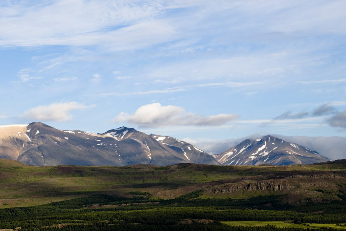 Hallormsstadaskogur forest is the largest forest in Iceland