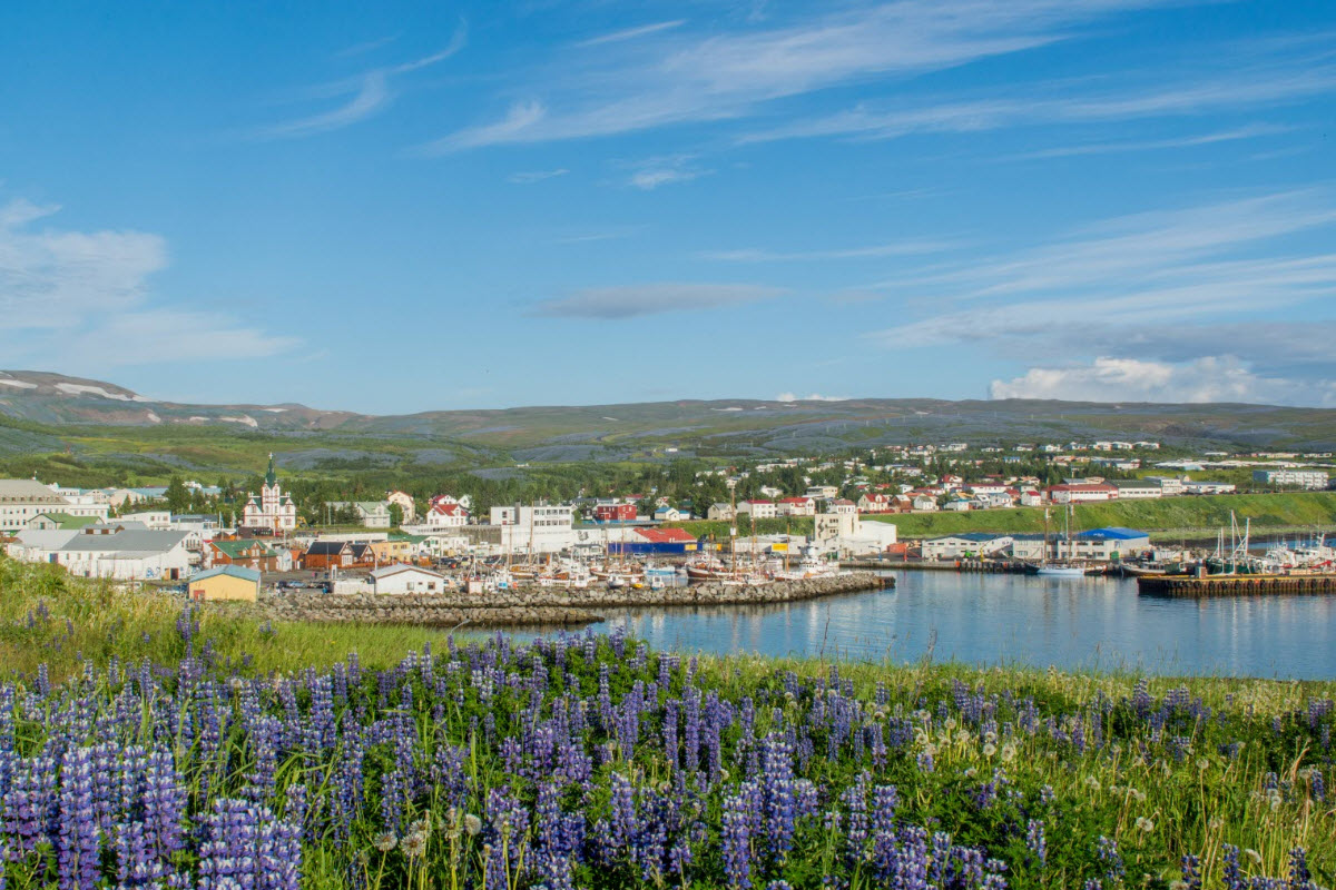 The view over the town Húsavík in North Iceland