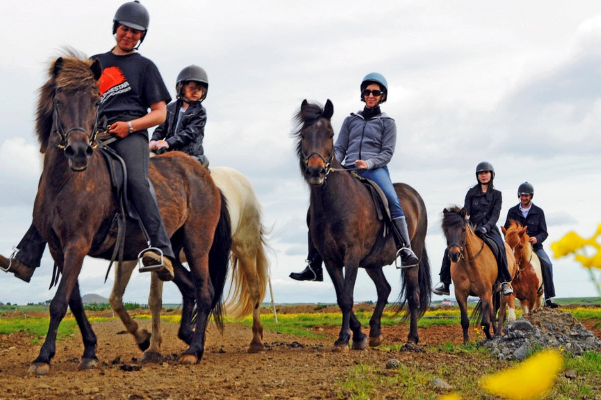 Horse Riding Tours in Iceland