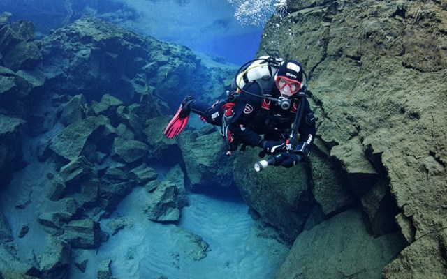 Snorkeling & Diving Tours