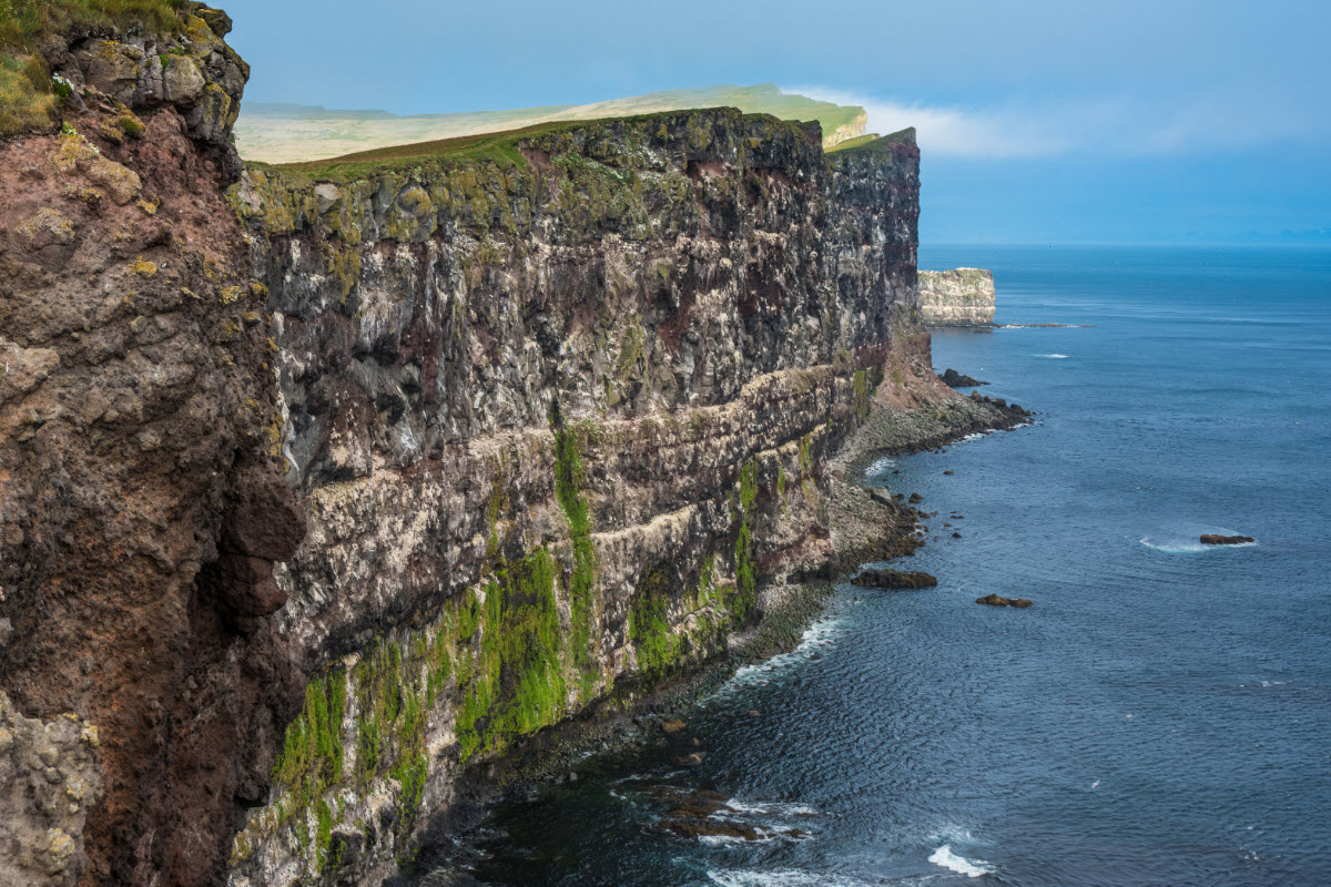 Latrabjarg cliffs are the highest cliffs in Iceland