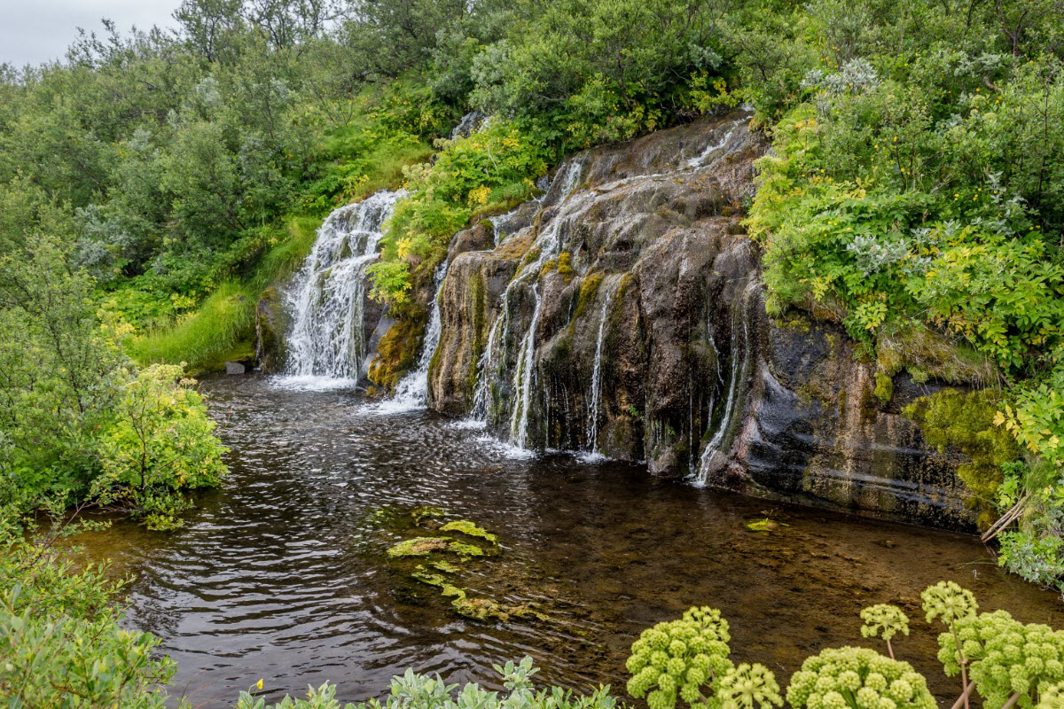 Small waterfalls surrounded by vegetation  in Jokulsargljufur area