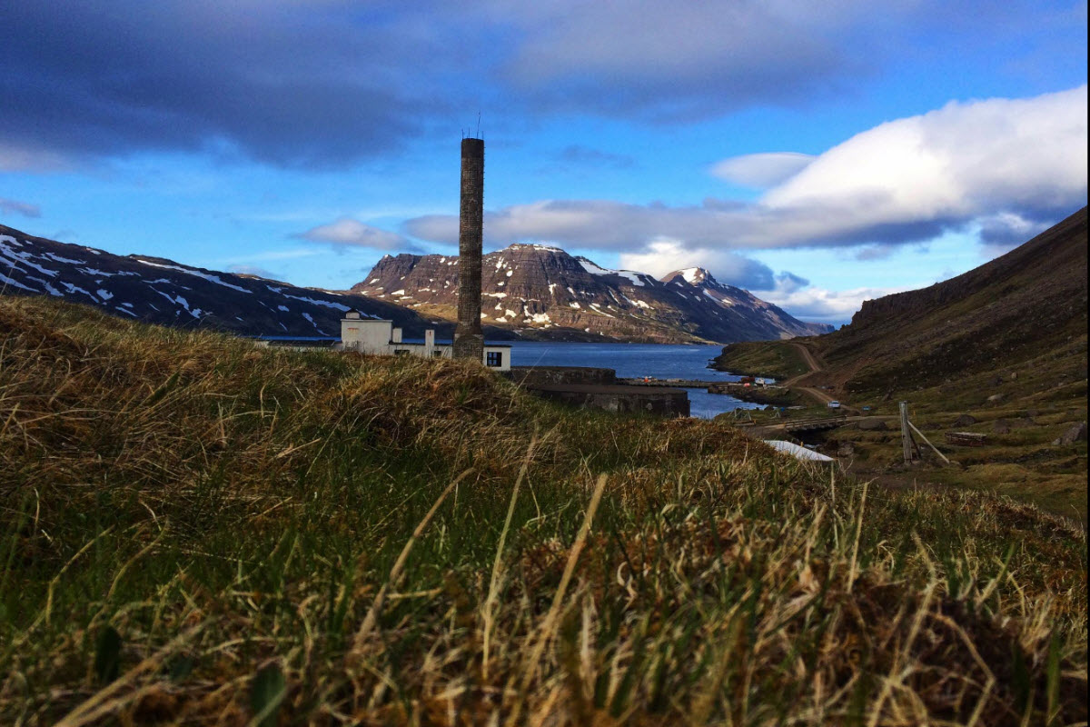 Djupavik in Strandir region