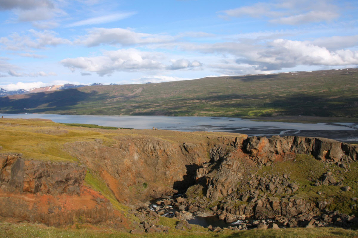 Hallormstaðaskógur