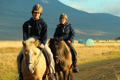 Pleasure in every hoofstep