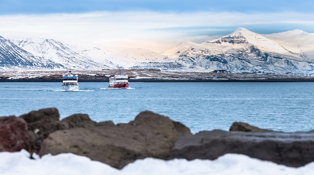Passenger boats crossing Icelandic coastal waters beneath snow-covered mountains