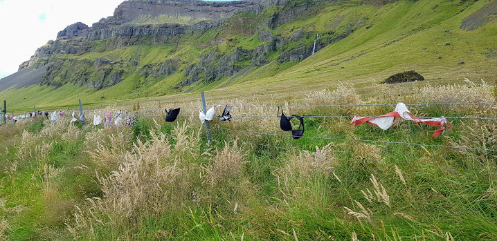 Bra Fence in Iceland