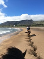 Snæfellsnes Horse Riding Tour tour in Iceland